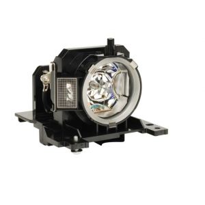 base_image_label-300174-OI59711