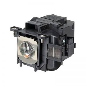 base_image_label-300274-OI65569