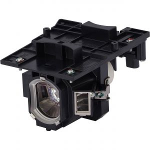 base_image_label-300501-OI63856