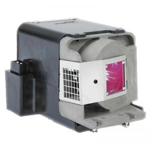 VIEWSONIC PJD6211 Original Inside Projector Lamp - Replaces RLC-050