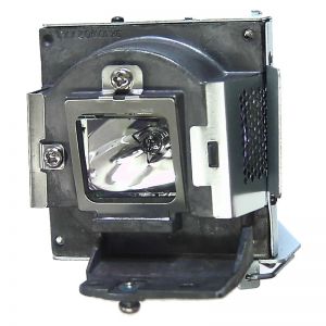 base_image_label-300783-OI62589