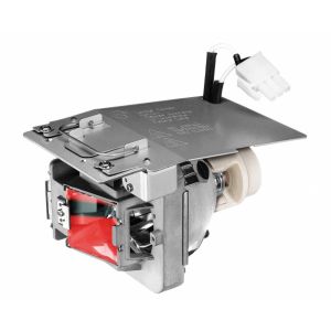 base_image_label-302234-OI67517