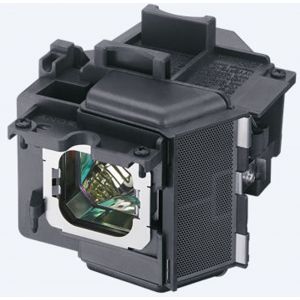 base_image_label-302395-OI67350