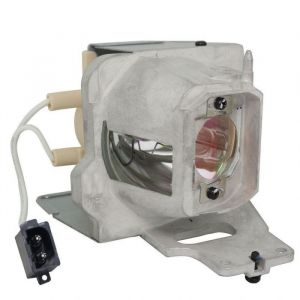 OPTOMA X343 Original Inside Projector Lamp - Replaces BL-FU200D / SP.7D101GC01